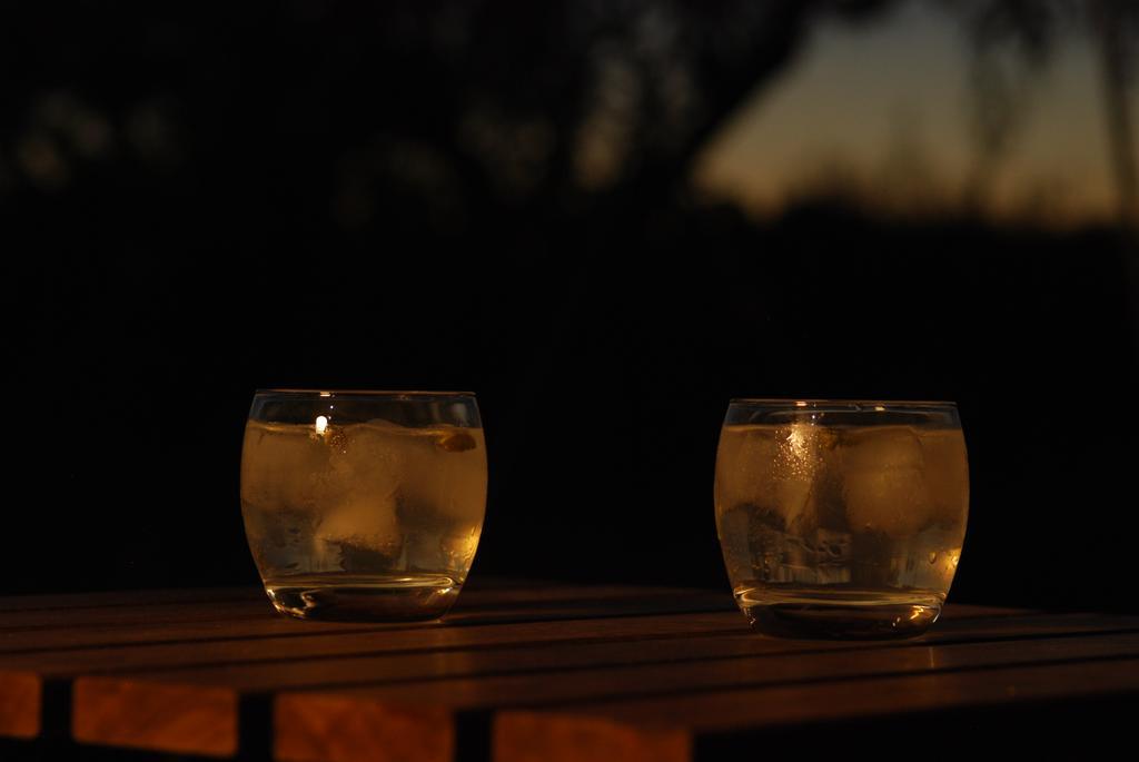 Bubulcus And Bolotas - Off Grid Nature Holiday Home Vimieiro  ภายนอก รูปภาพ